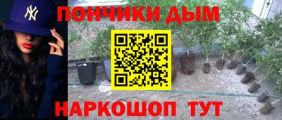 хмурый Долгопрудный