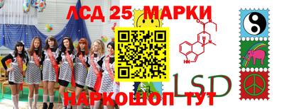 амф Дмитров