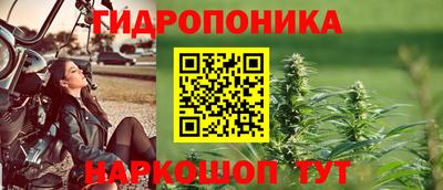 хмурый Долгопрудный